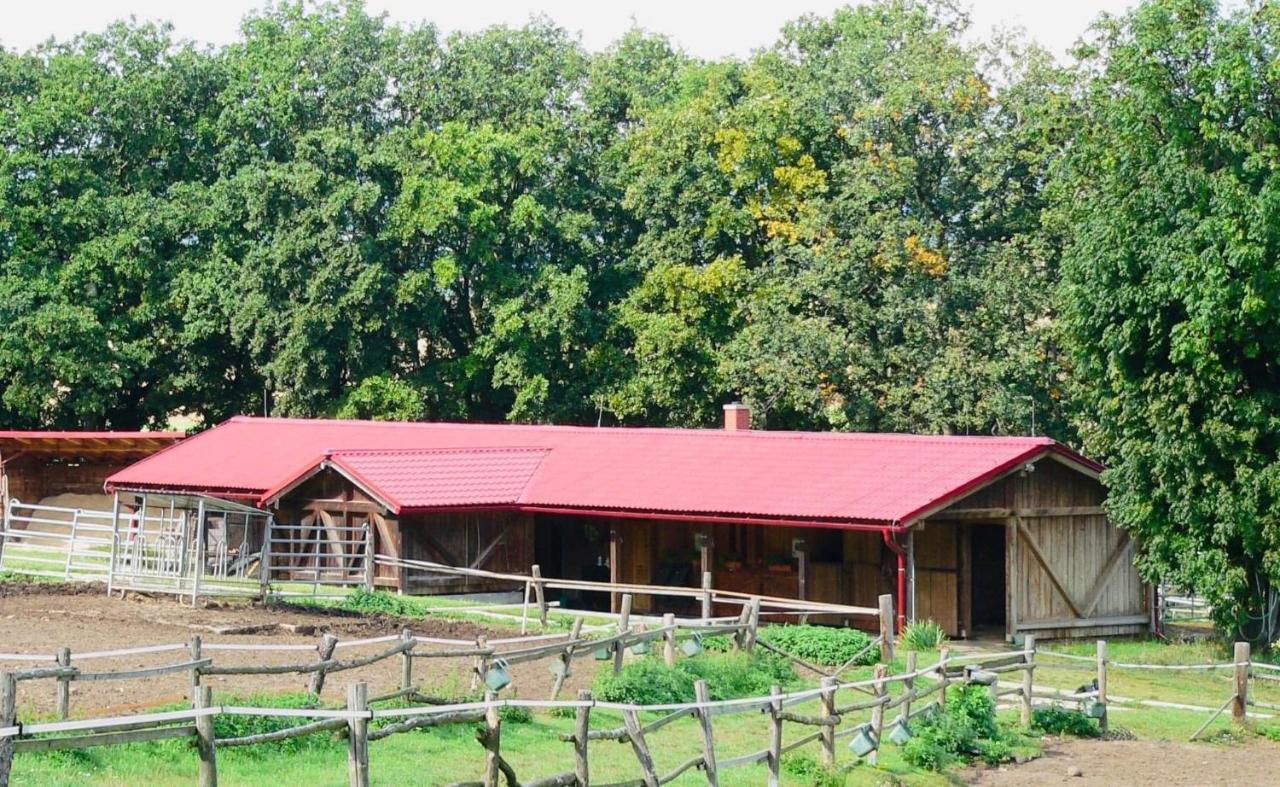 Ubytování na Ranči pod Lovošem Velemin Esterno foto