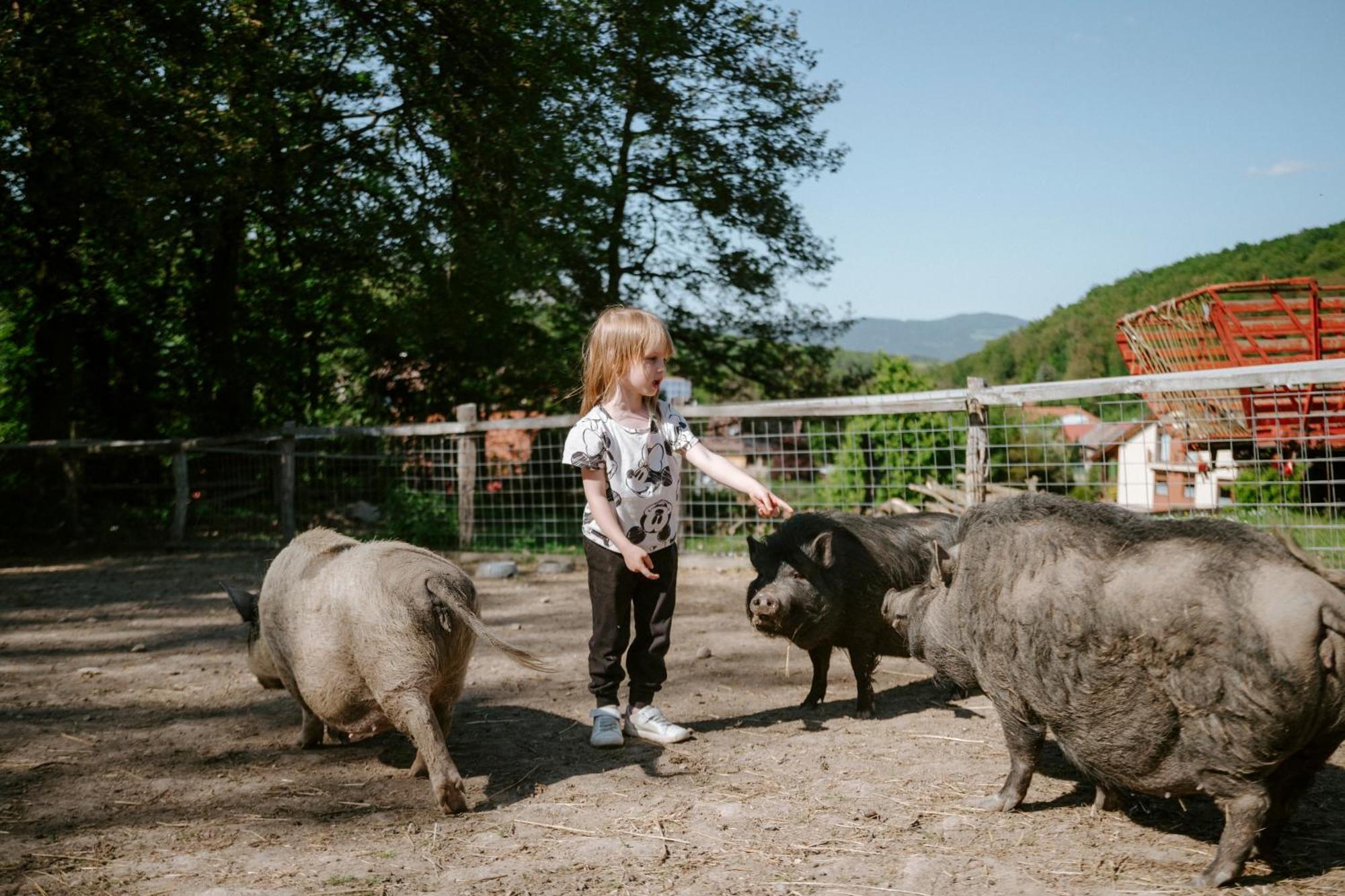 Ubytování na Ranči pod Lovošem Velemin Esterno foto